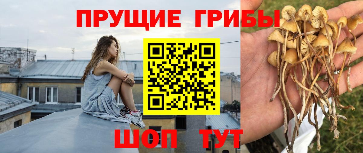 Псилоцибиновые грибы ЛСД Карпинск