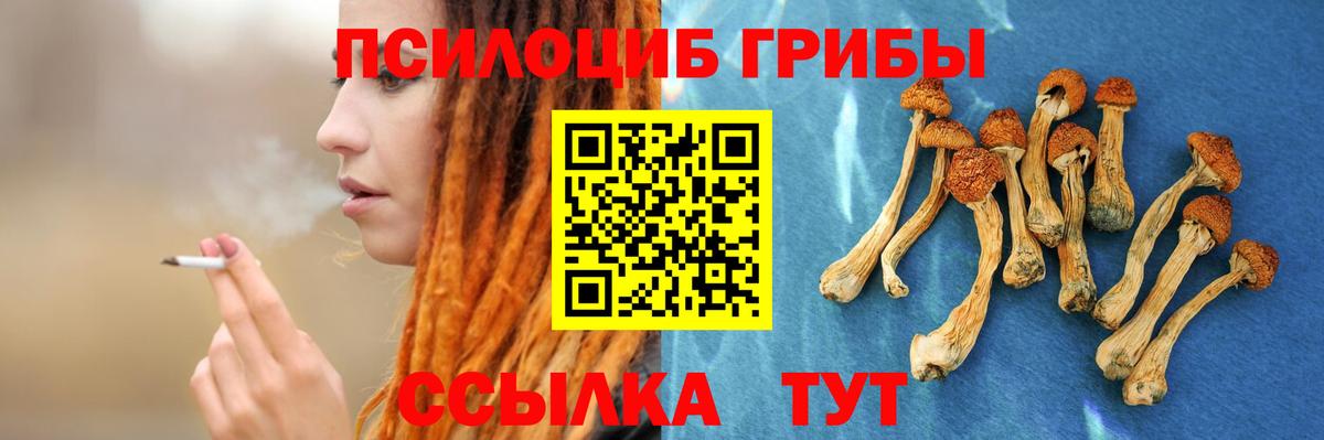Карпинск  Галлюциногенные грибы Cubensis  Вход с VPN 